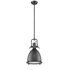 Picture of CH58022BK14-DP1 Mini Pendant 