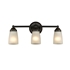 Picture of CH2Z051BZ21-BL3 Bath Vanity Fixture