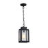 CH50076BK06-DP1 Mini Pendant