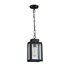 CH50076BK06-DP1 Mini Pendant