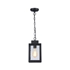 CH50076BK06-DP1 Mini Pendant