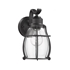 Picture of CH2D291BK10-OD1 Outdoor Sconce