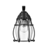 Picture of CH2D291BK10-OD1 Outdoor Sconce