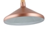 Picture of CH8S929RG15-DP1 Mini Pendant