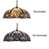 Picture of CH3T229IV18-DH2 Ceiling Pendant Fixture