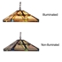 Picture of CH3T237IM16-DH2 Ceiling Pendant Fixture