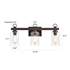 Picture of CH2S105RB23-BL3 Bath Vanity Fixture