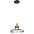 Picture of CH2D804BB10-DP1 Mini Pendant