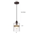 Picture of CH2D806RB06-DP1 Mini Pendant