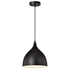 Picture of CH58070BK10-DP1 Mini Pendant