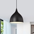 Picture of CH58070BK10-DP1 Mini Pendant