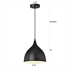 Picture of CH58070BK10-DP1 Mini Pendant