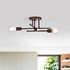 Picture of CH2R419RB21-SF3 Semi-flush Ceiling Fixture