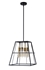 Picture of CH6D803TT15-DP4 Large Pendant