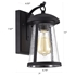 Picture of CH2S215BK11-OD1 Outdoor Sconce