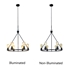 Picture of CH6D805BK22-UP6 Inverted Pendant